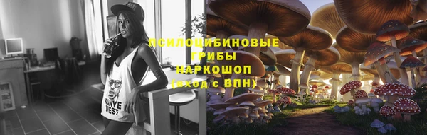 прущая мука Арсеньев