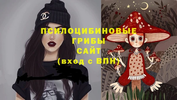 прущая мука Арсеньев
